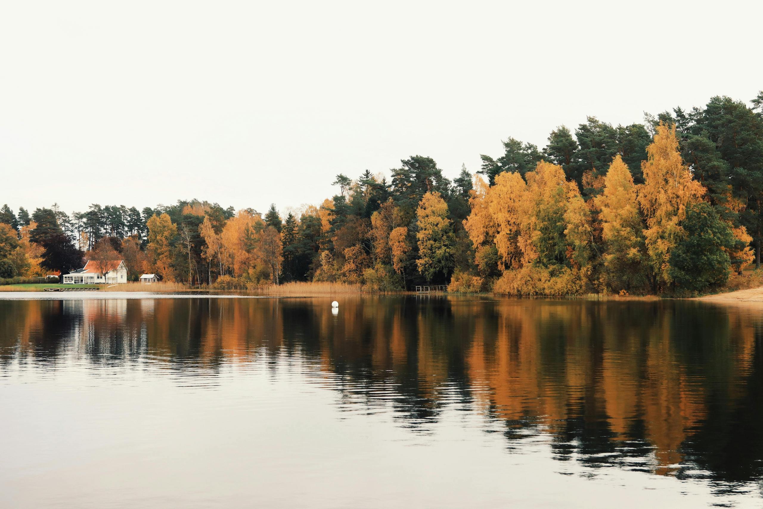 Svensk natur och hållbarhet i världsklass